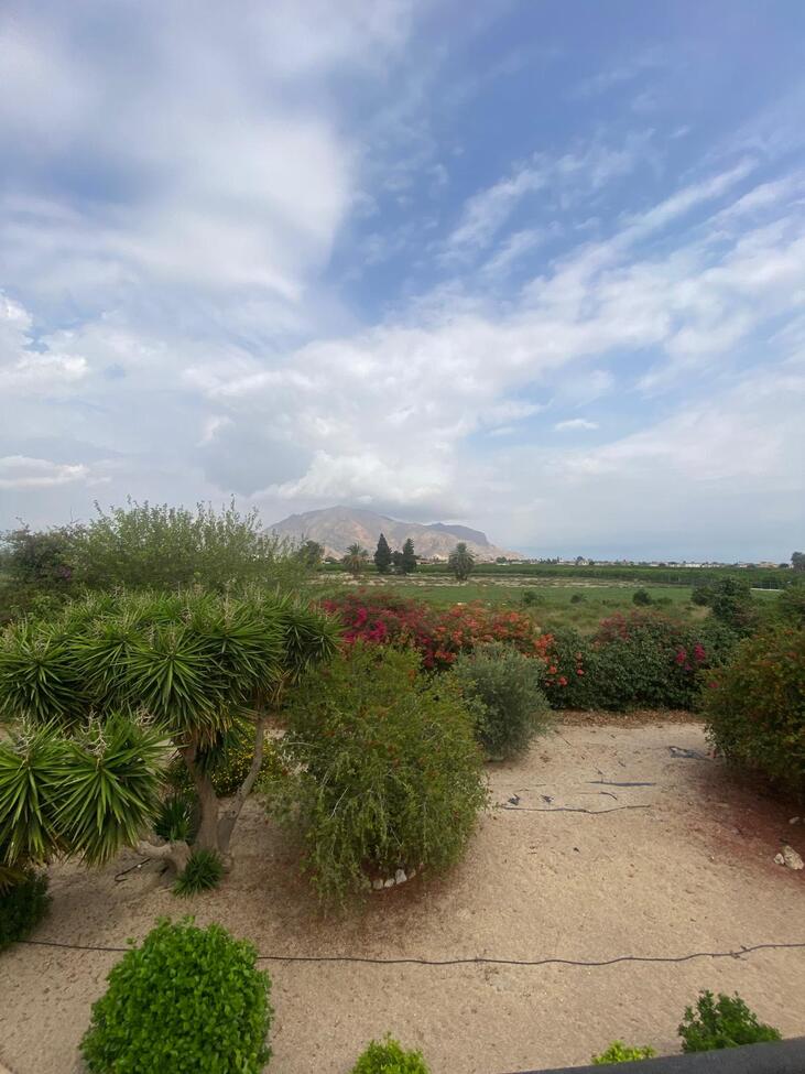 Country house, Orihuela