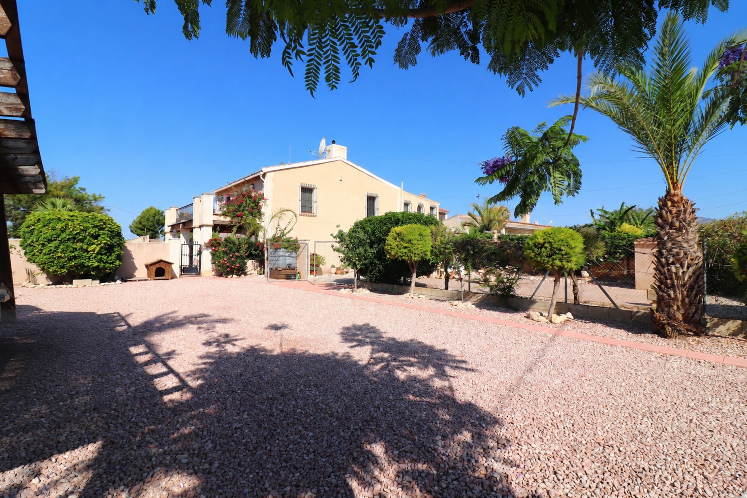 Country house, Albatera - Country