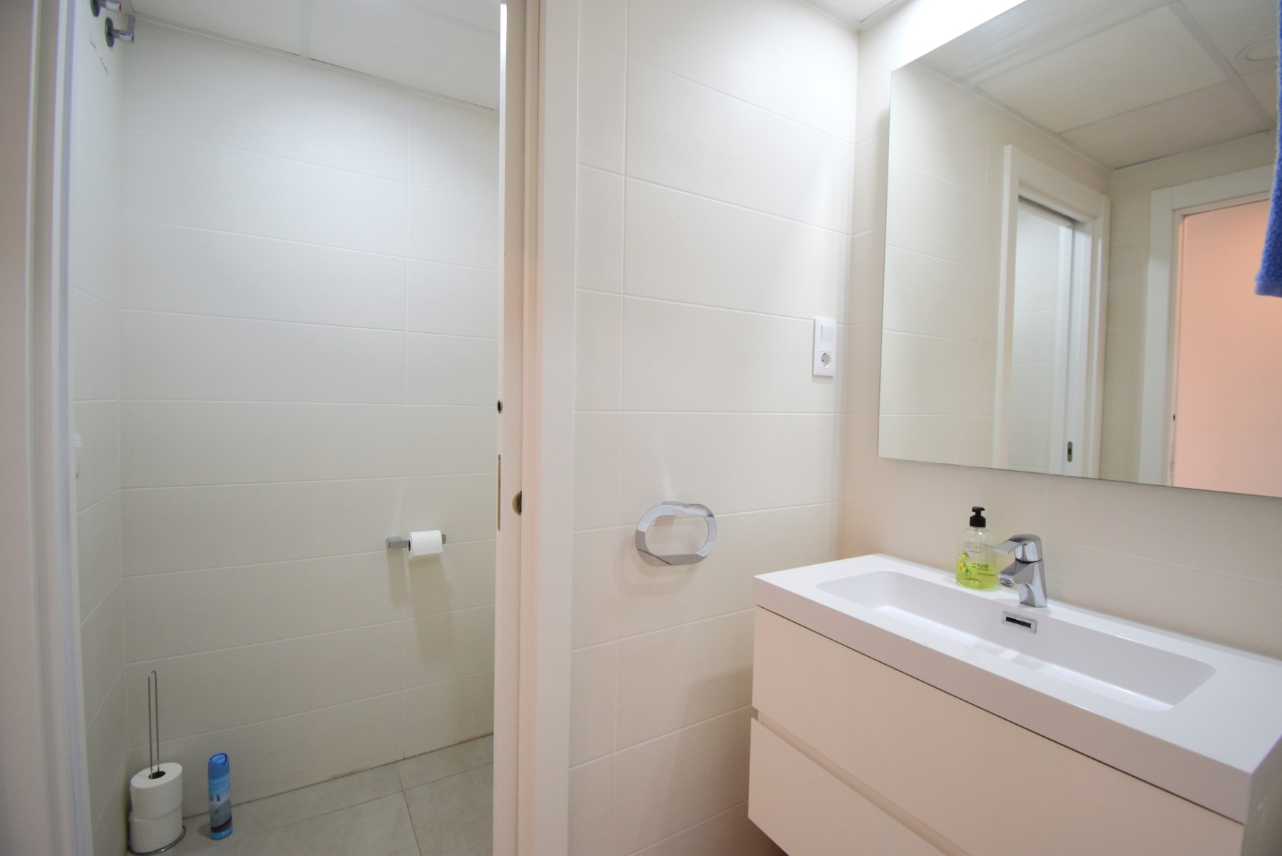 Apartment, Playa Flamenca