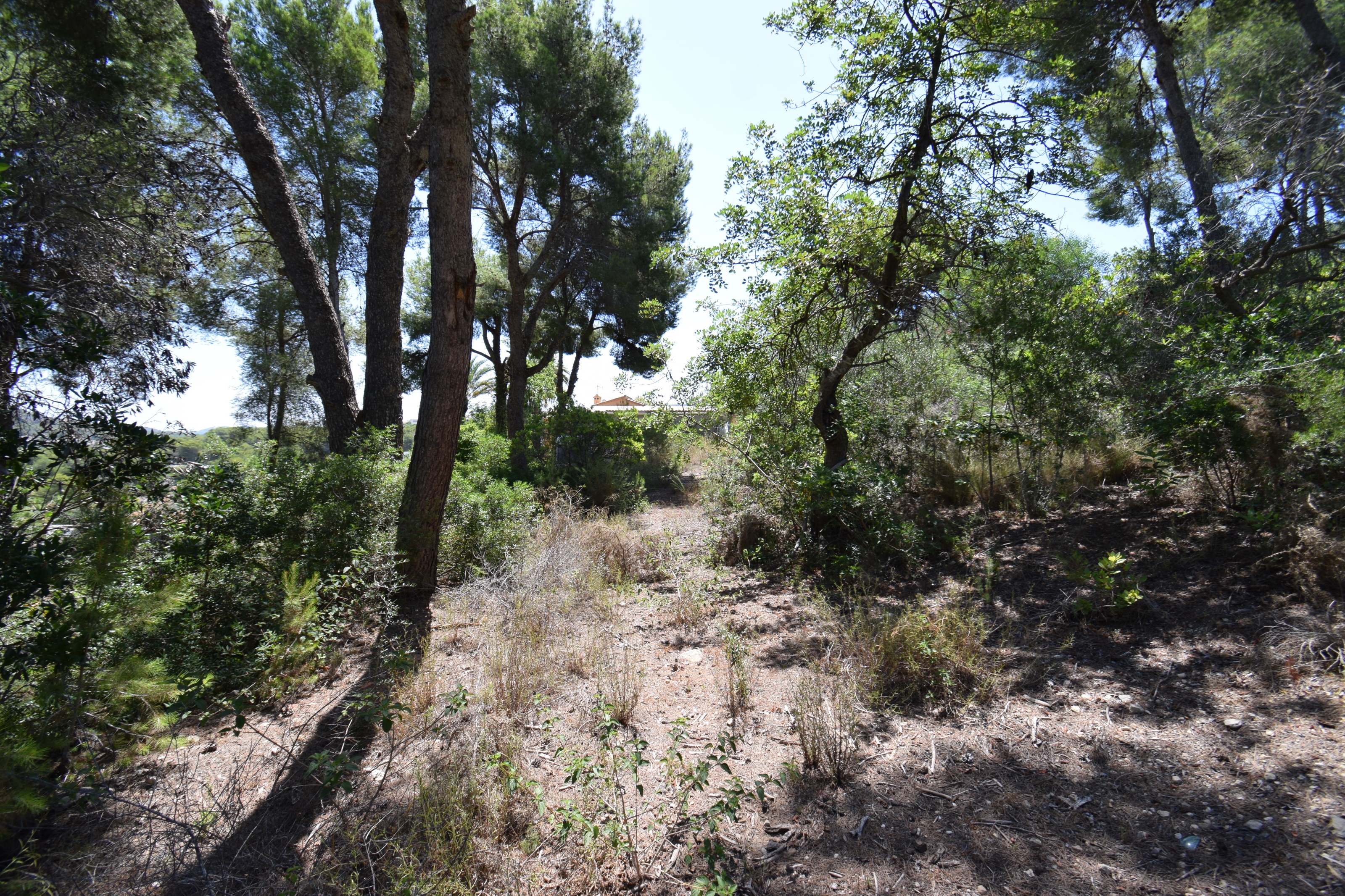 Country house, Partides comunes - Adsubia