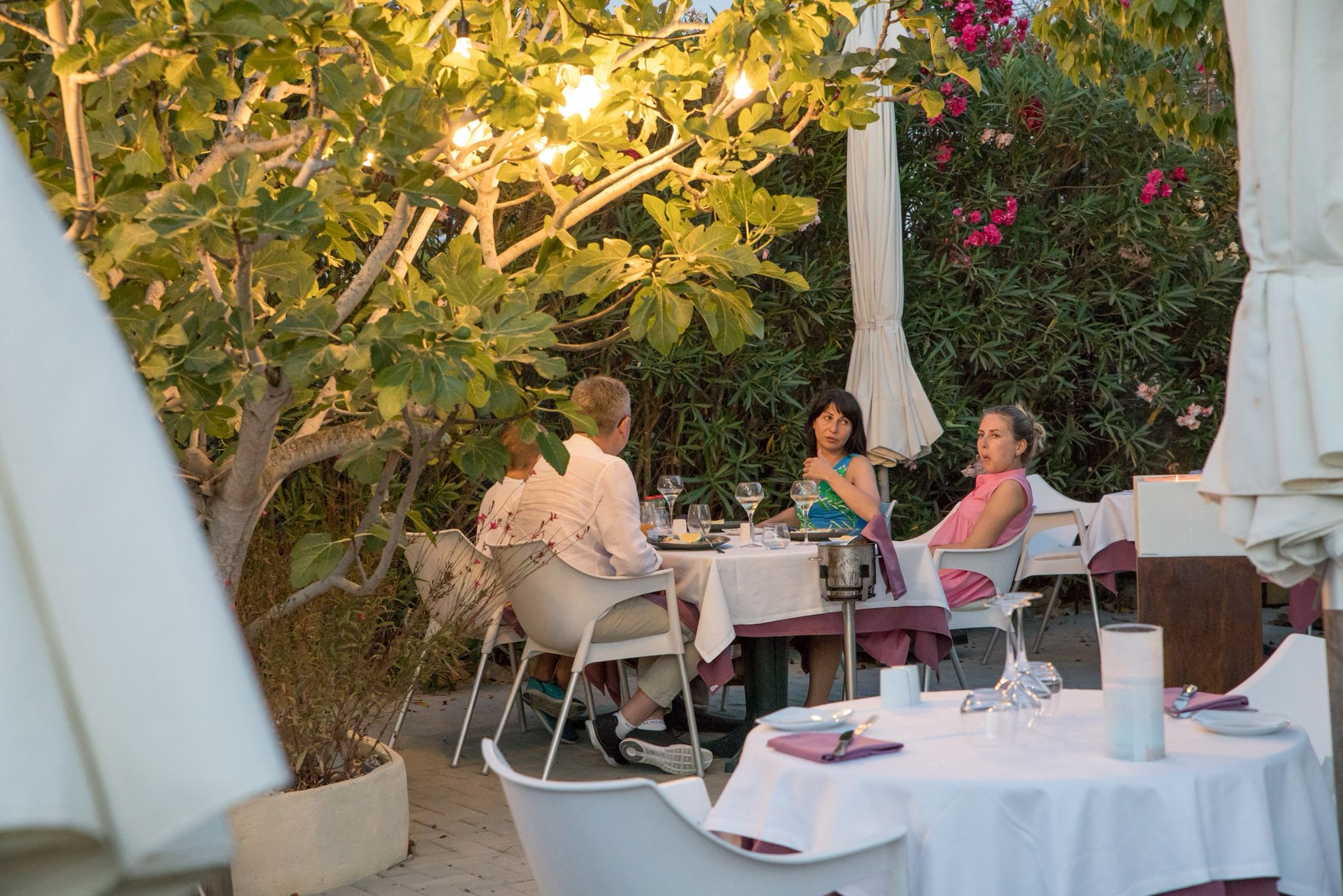 Restaurant, Montgó - Ermita