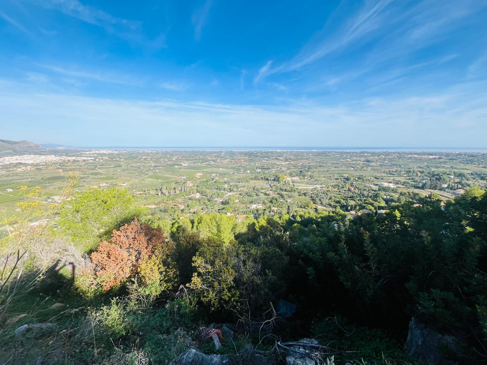 Plot / Land, Pedreguer