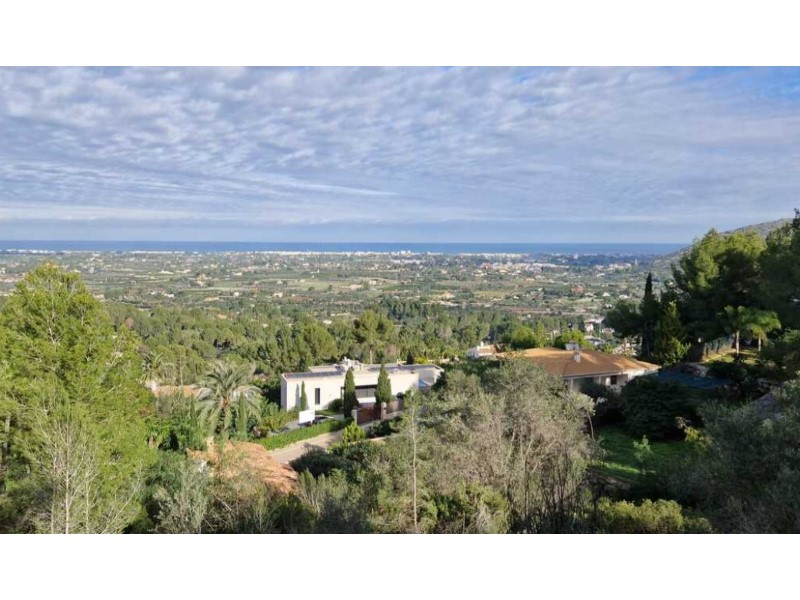 Plot / Land, Pedreguer