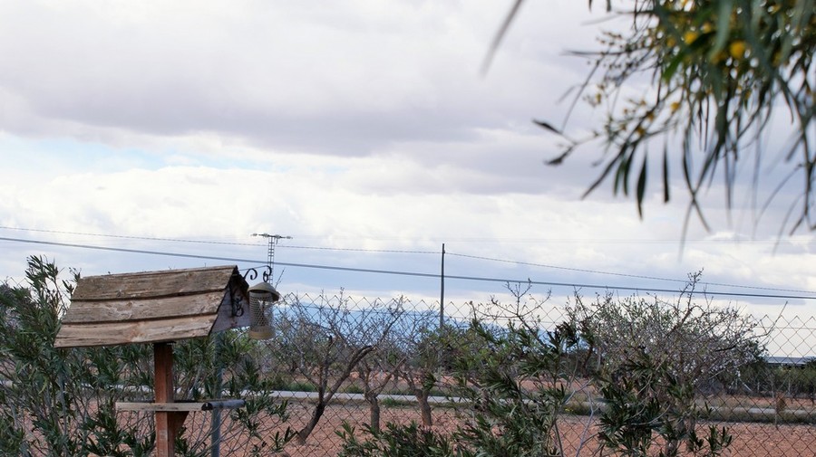 Country house, La Pinilla