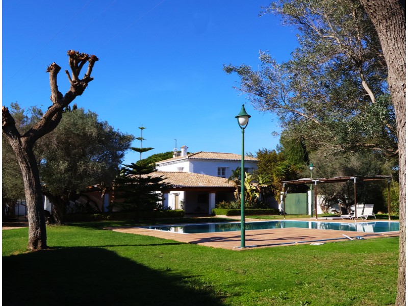Plot / Land, Los Pinares - La Masia