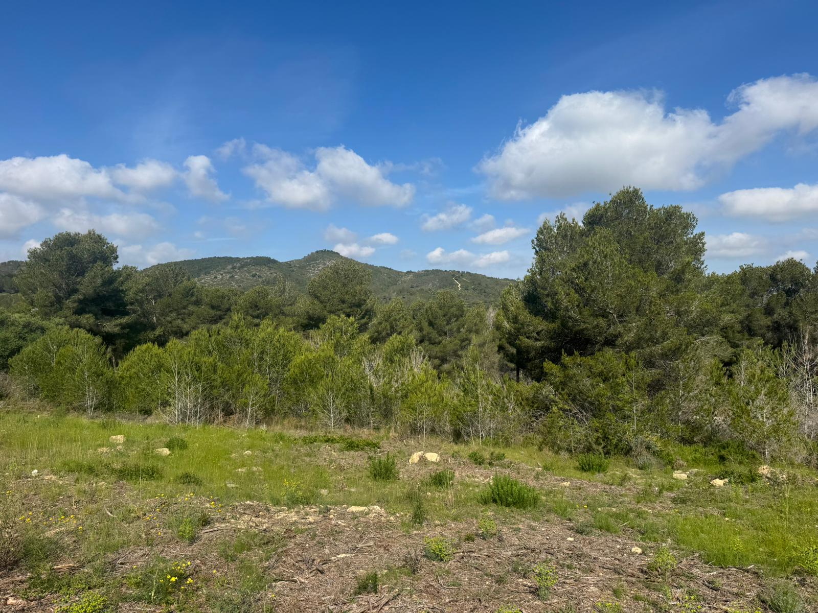 Plot / Land, Partides comunes - Adsubia