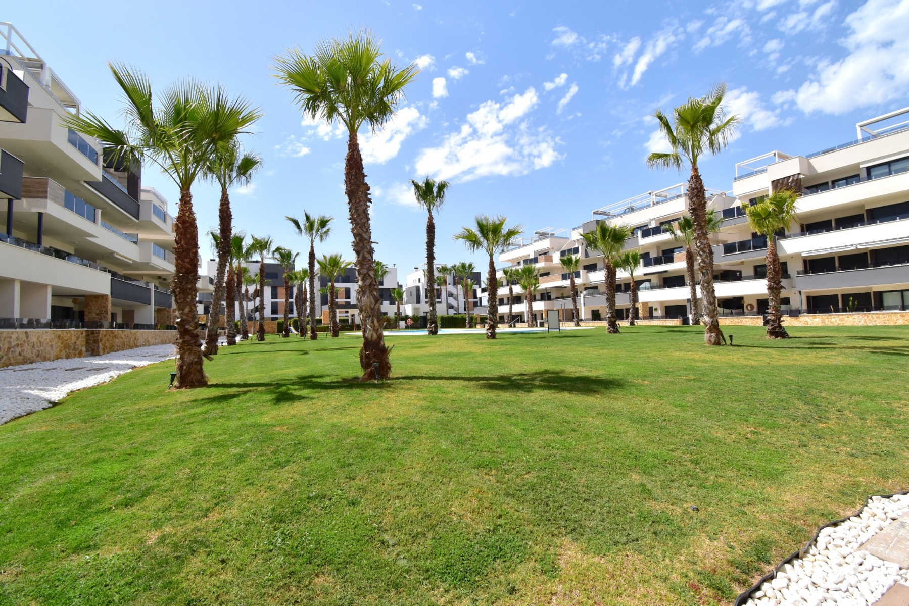 Apartment, Los Altos