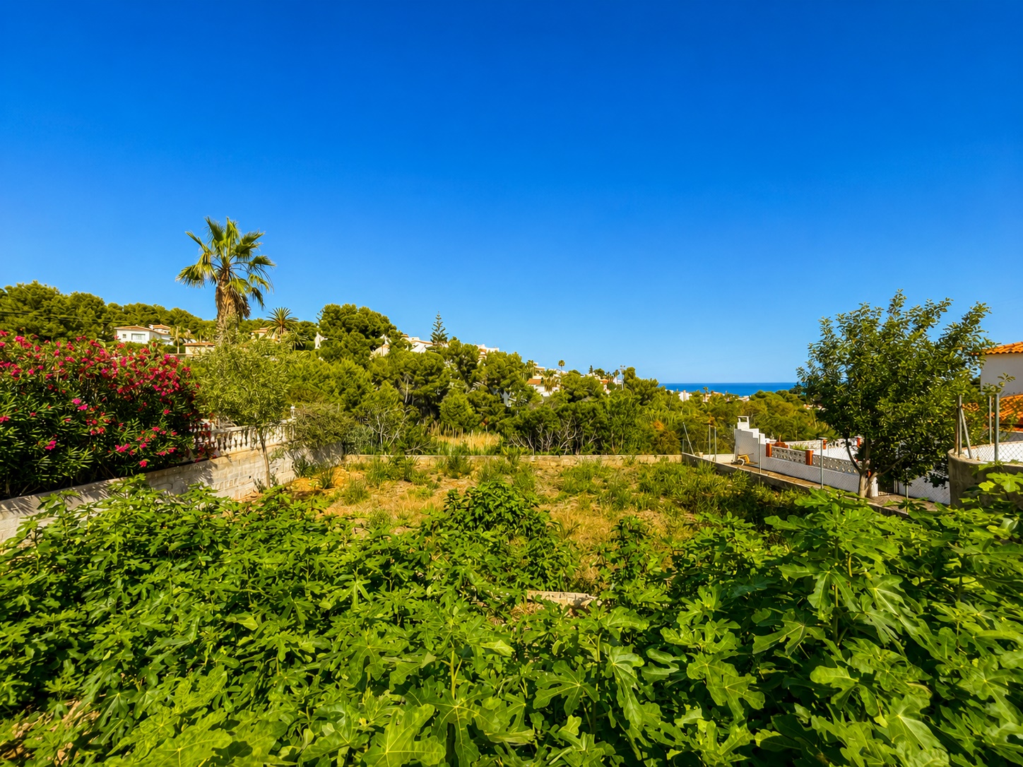 Plot / Land, La Fustera