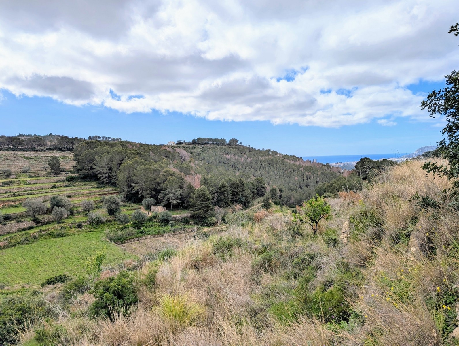 Plot / Land, Partida Biasner