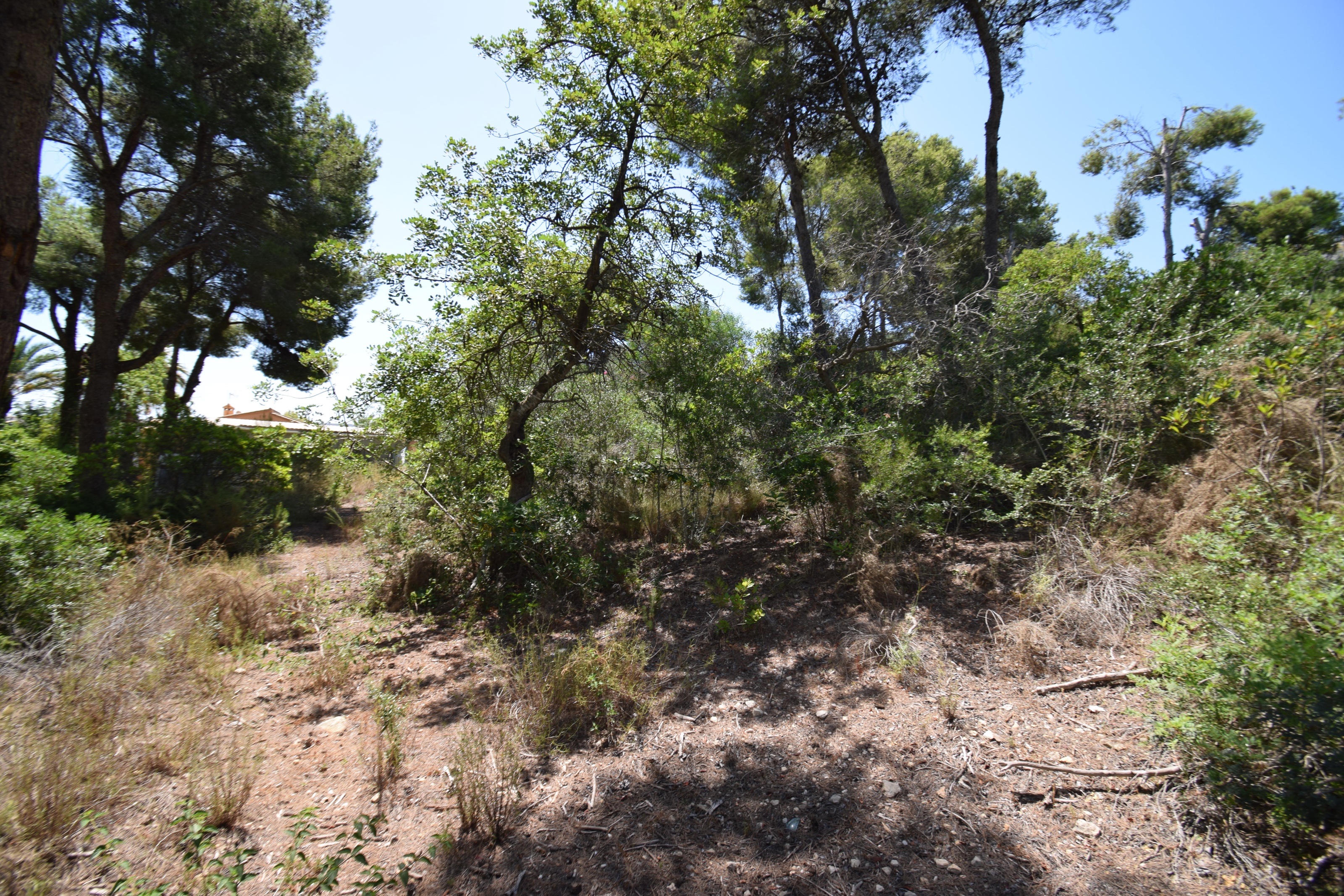 Country house, Partides comunes - Adsubia
