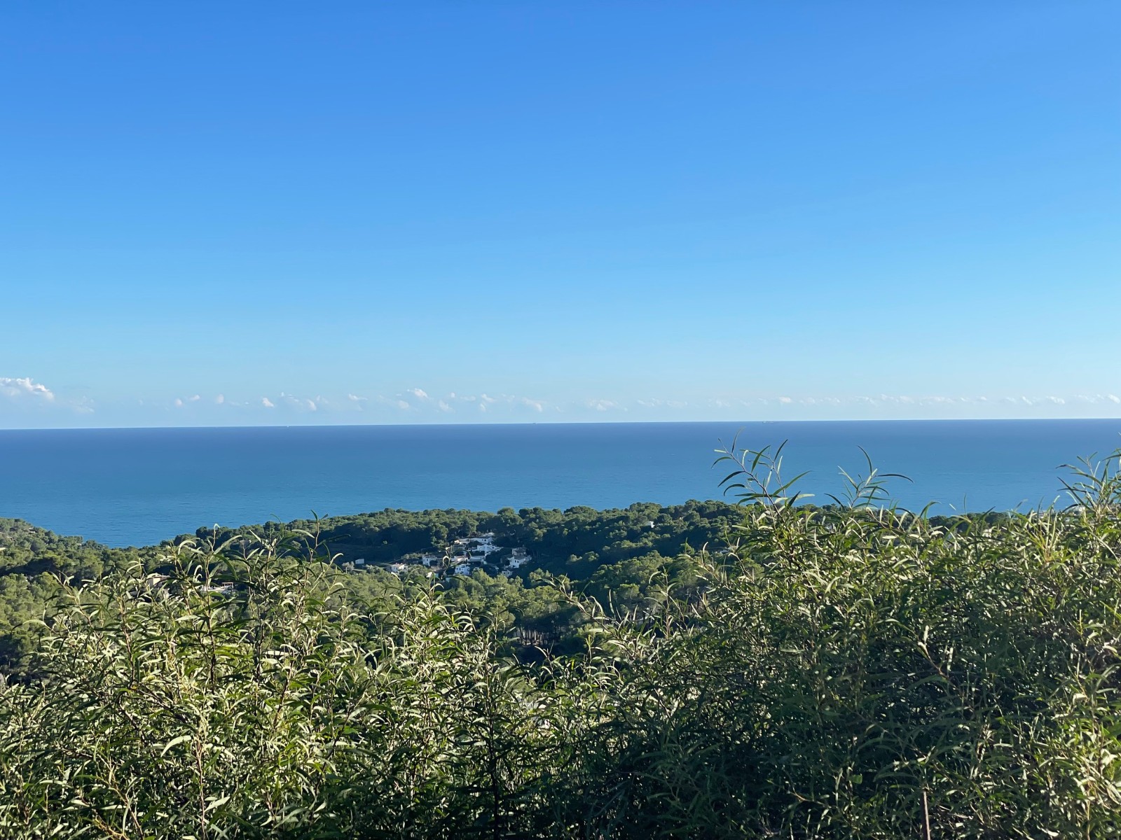 Plot / Land, Pedramala