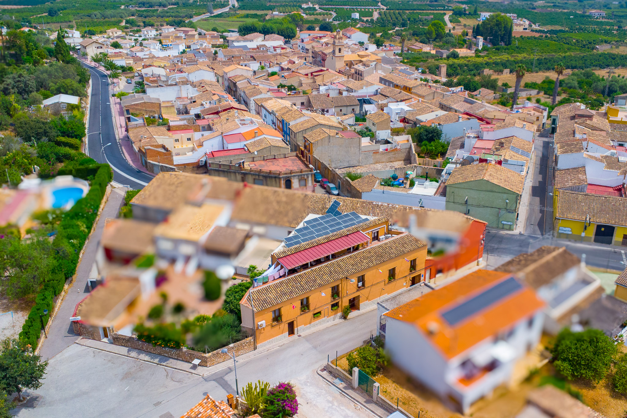Commercial, Sagra
