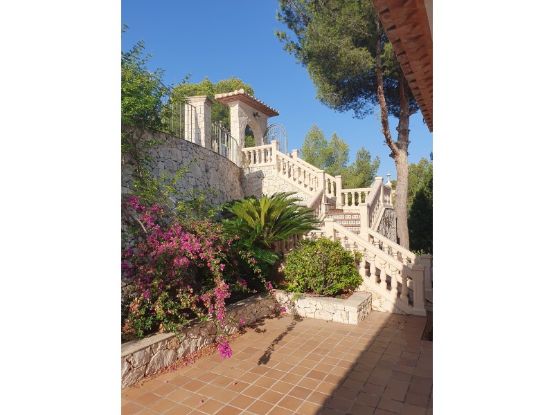 Villa, Pedreguer