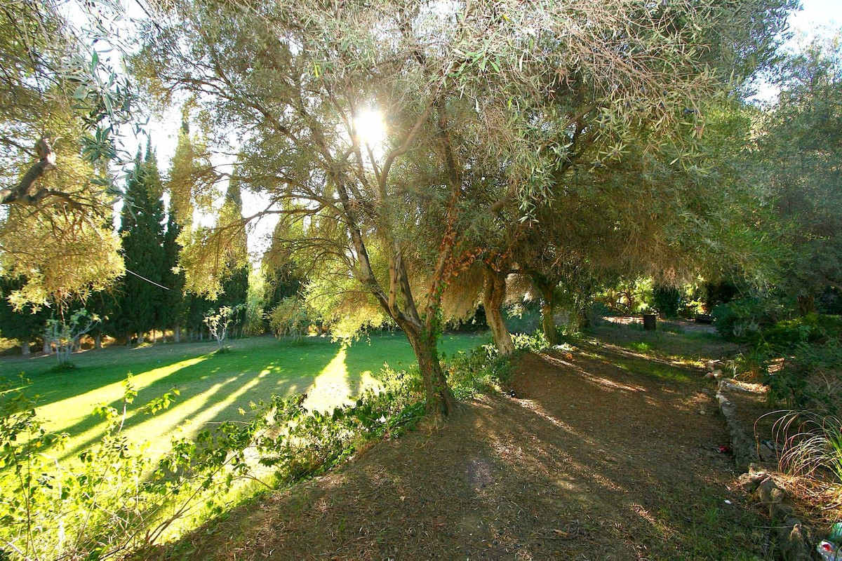 Plot / Land, Mijas