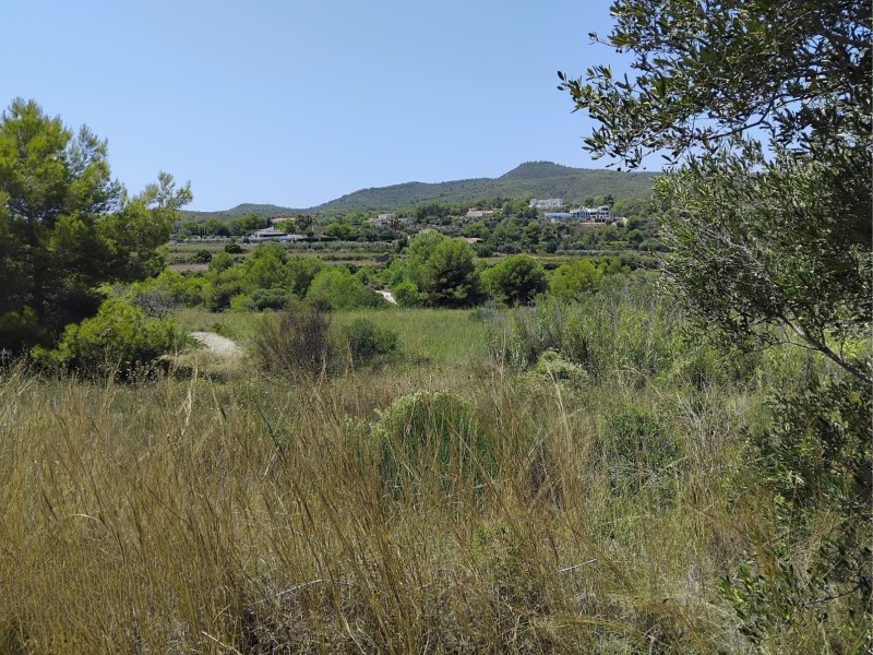 Plot / Land, Partides comunes - Adsubia