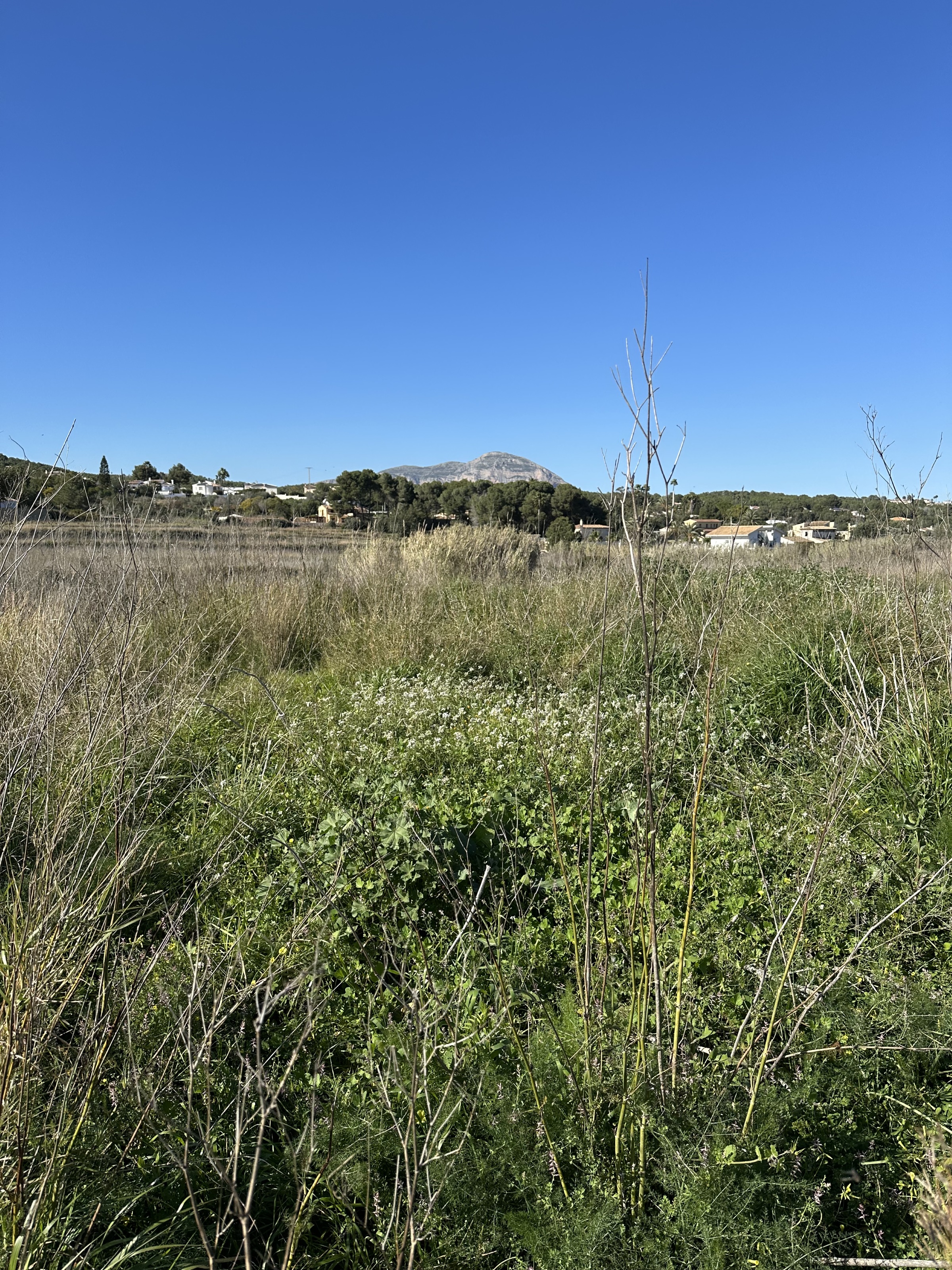 Plot / Land, Centro