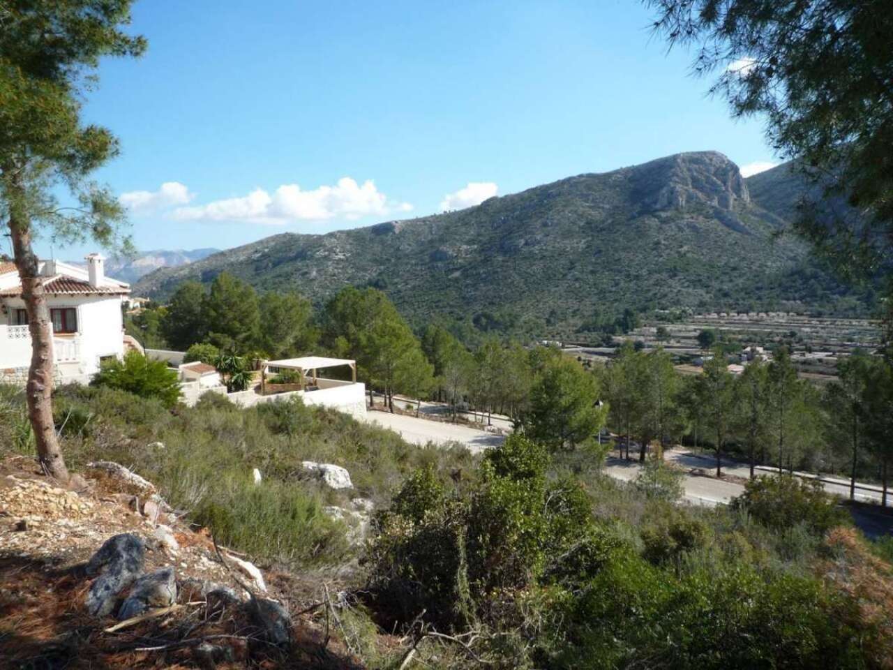 Plot / Land, Pedreguer