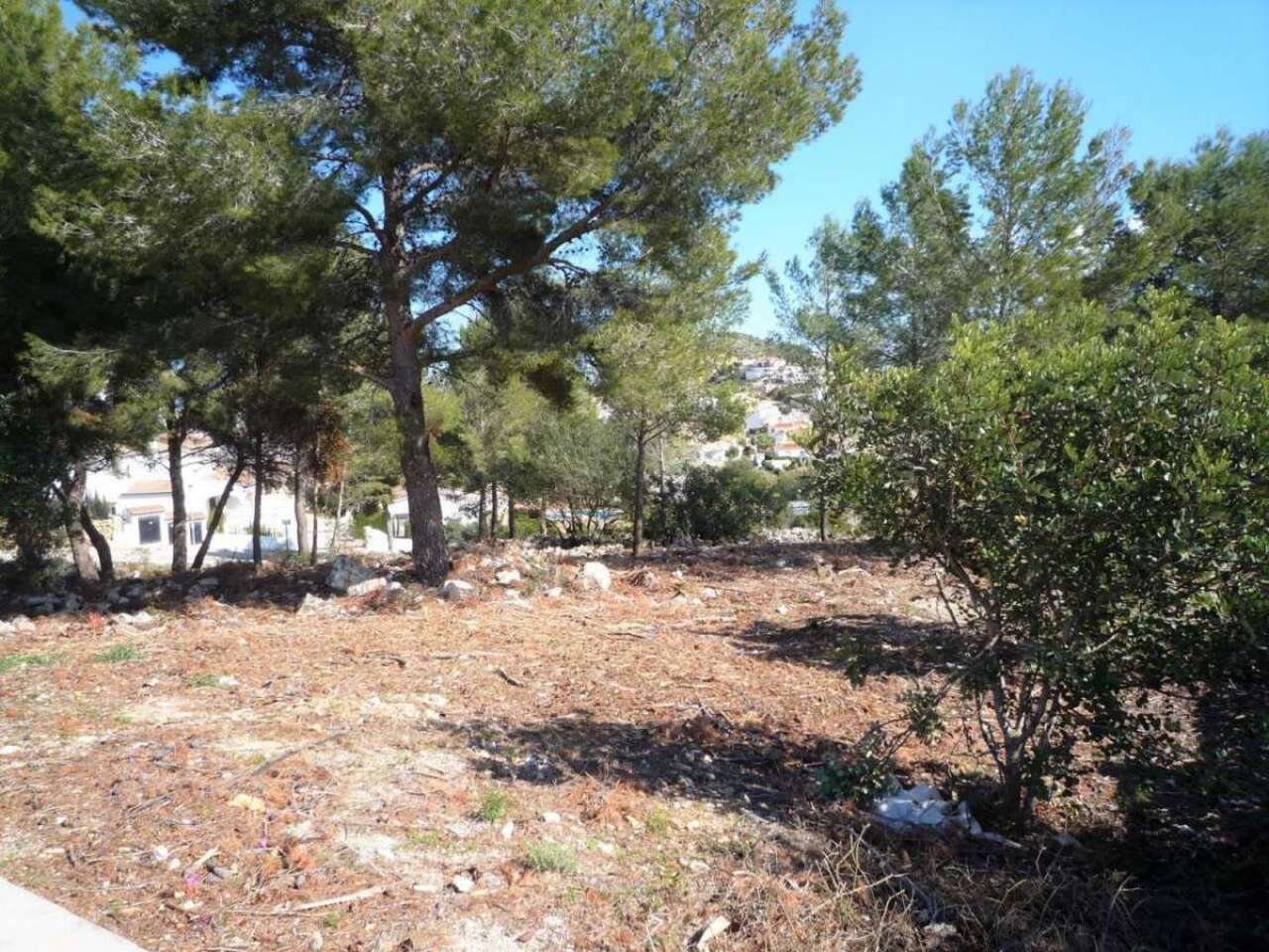 Plot / Land, Pedreguer