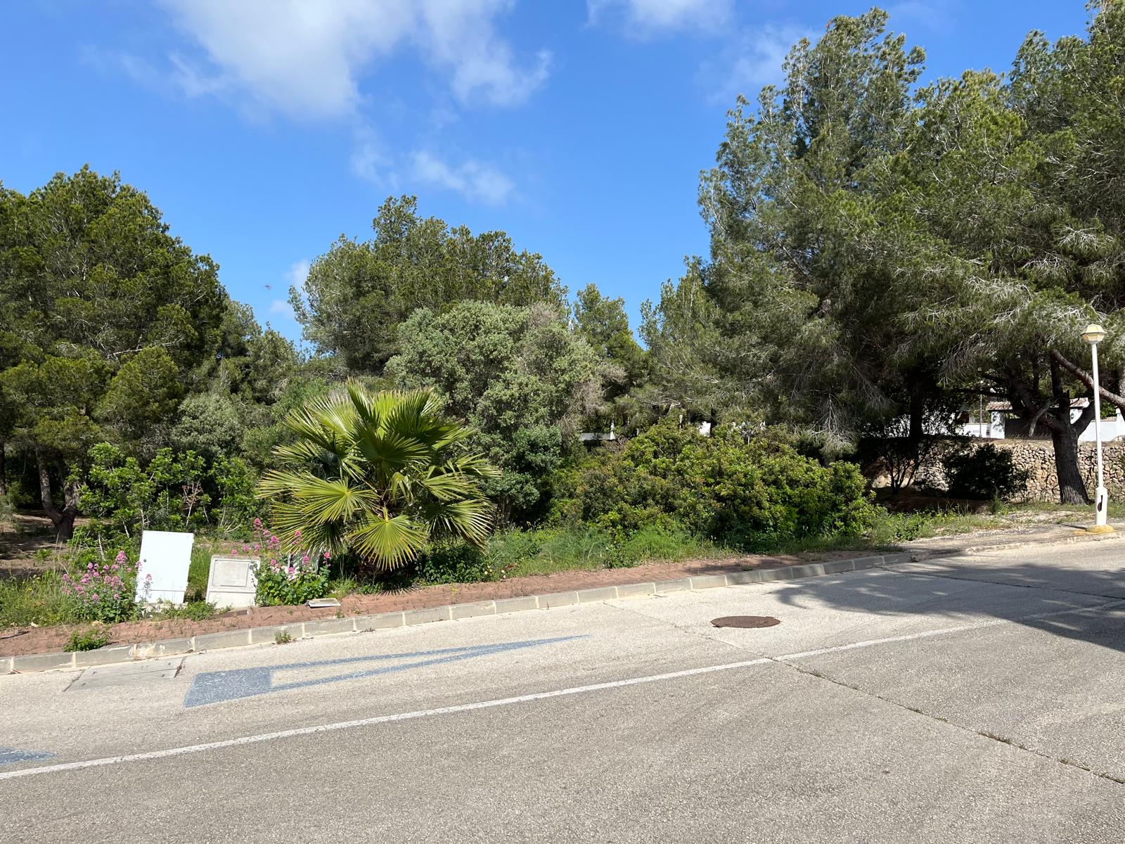 Plot / Land, Cap Martí - El Tossalet - Pinomar