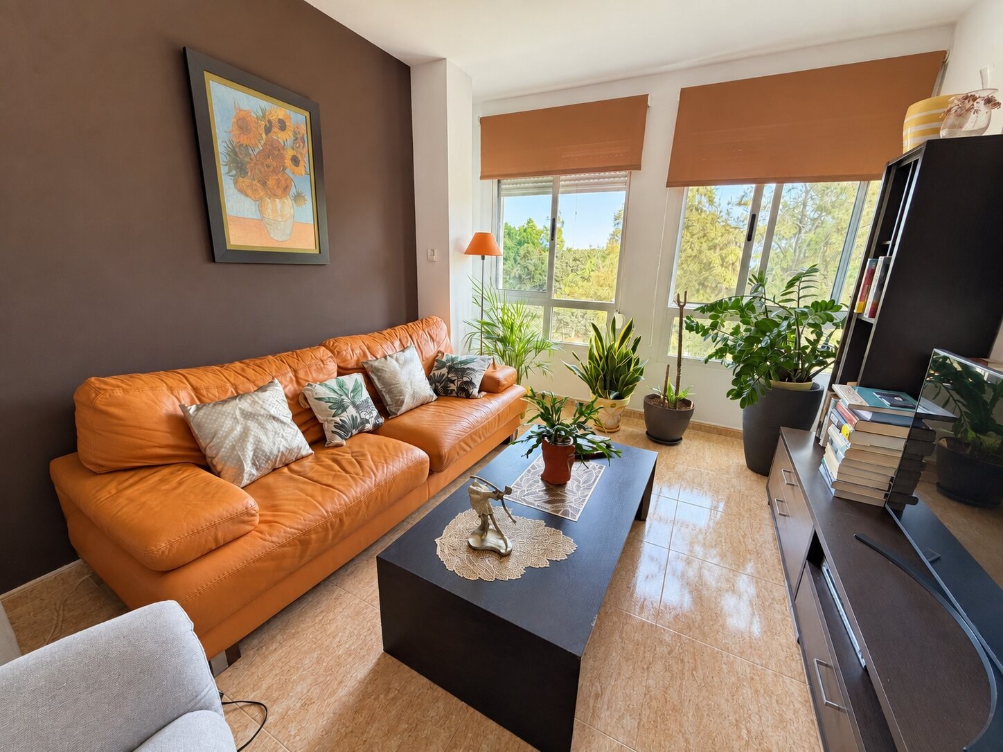 Apartment, Pilar de La Horadada - Town