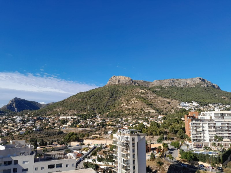 Penthouse, Canuta