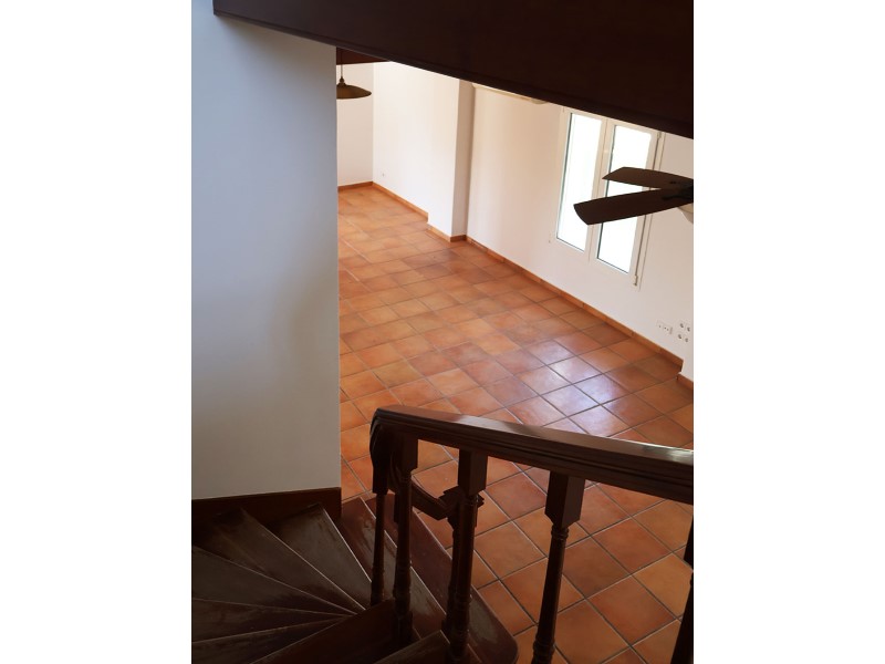 Plot / Land, Los Pinares - La Masia