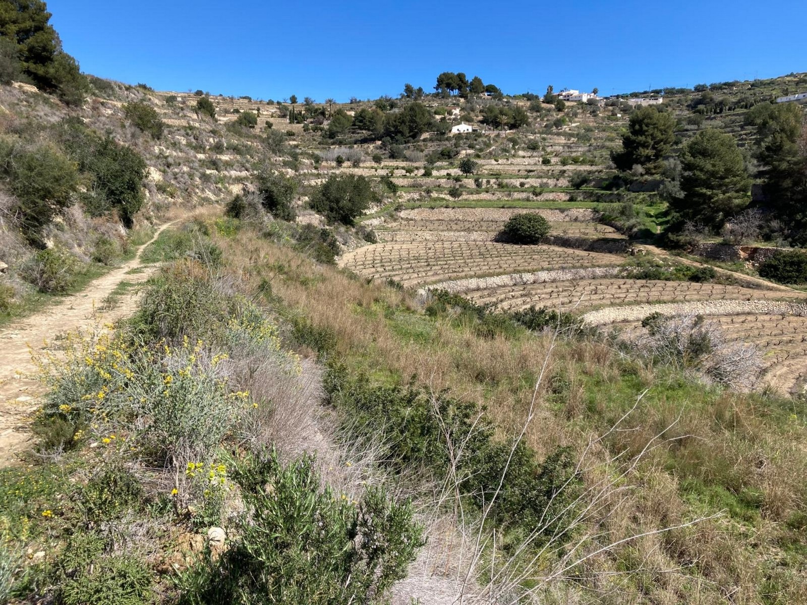 Plot / Land, Partida Biasner