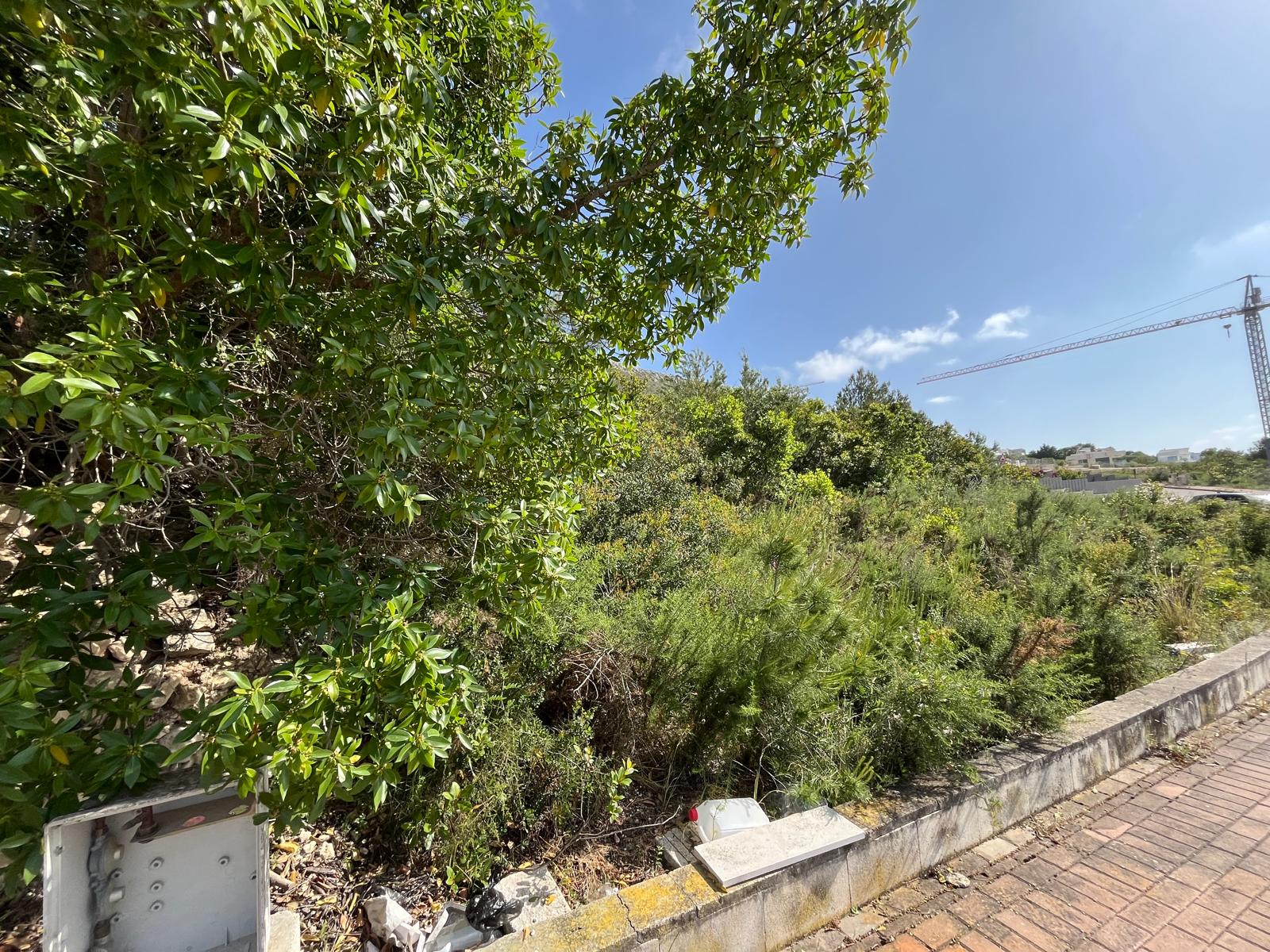 Plot / Land, Cap Martí - El Tossalet - Pinomar