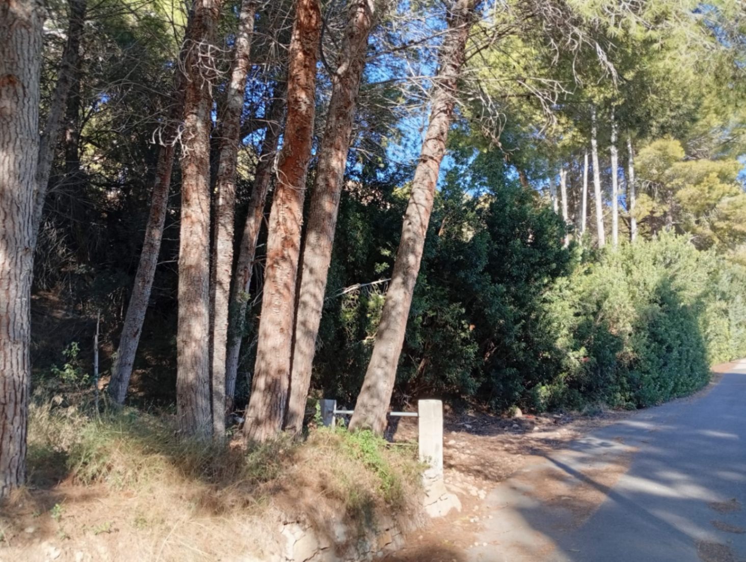 Plot / Land, Oltamar
