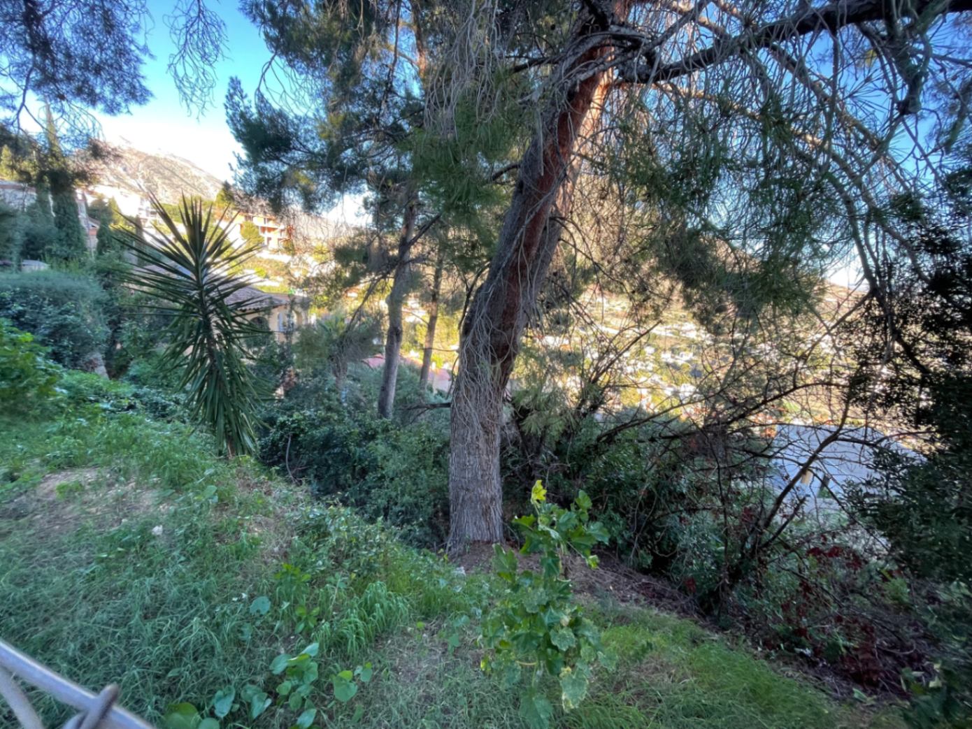 Plot / Land, Maryvilla