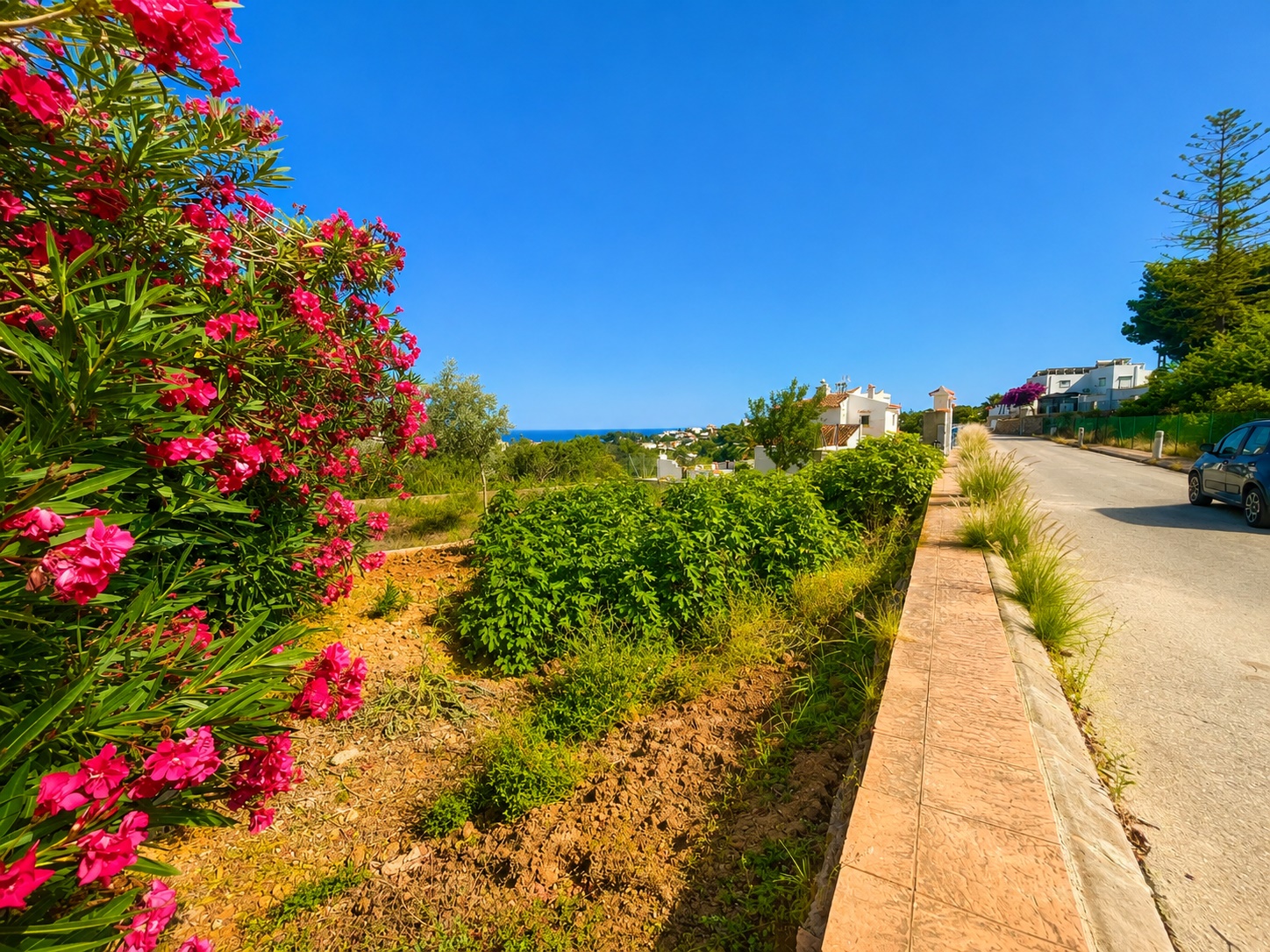 Plot / Land, La Fustera