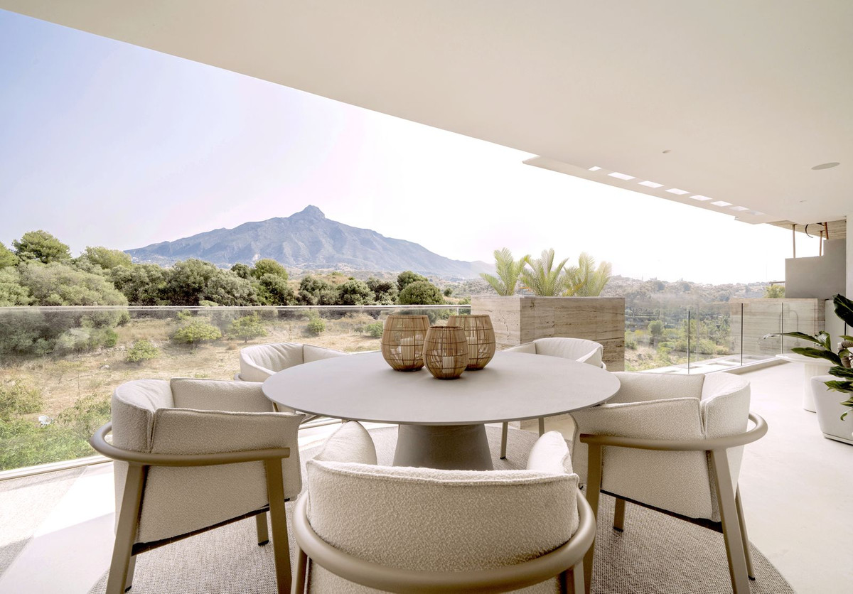 Penthouse, Aloha