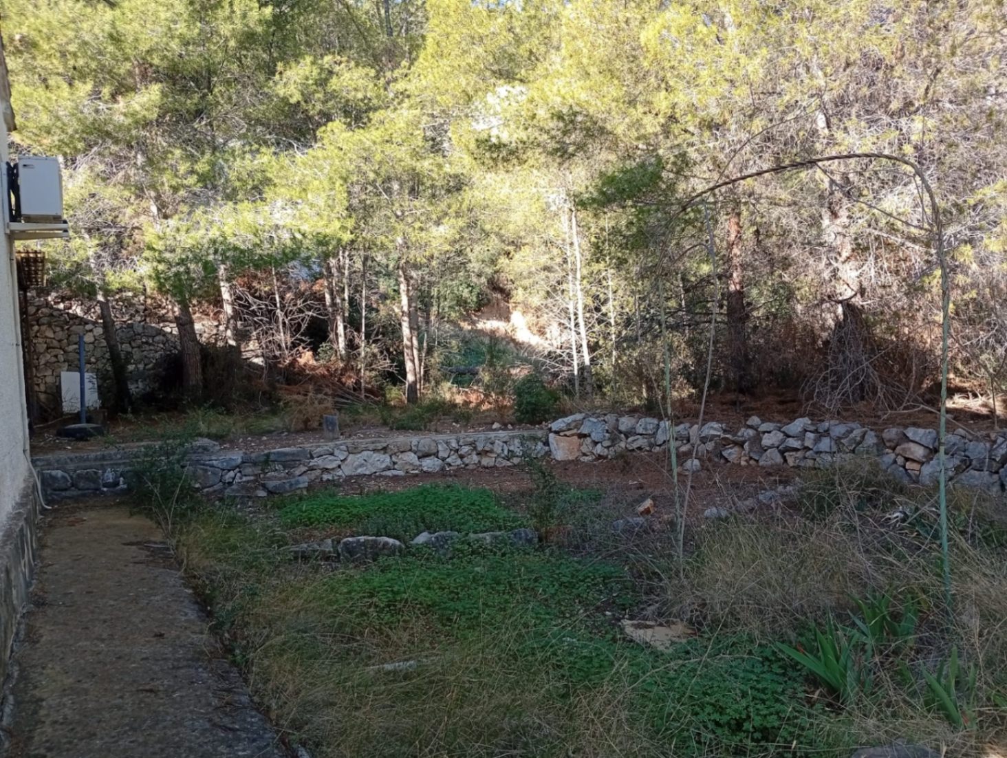 Plot / Land, Oltamar