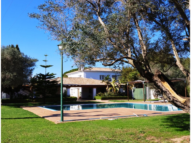 Plot / Land, Los Pinares - La Masia