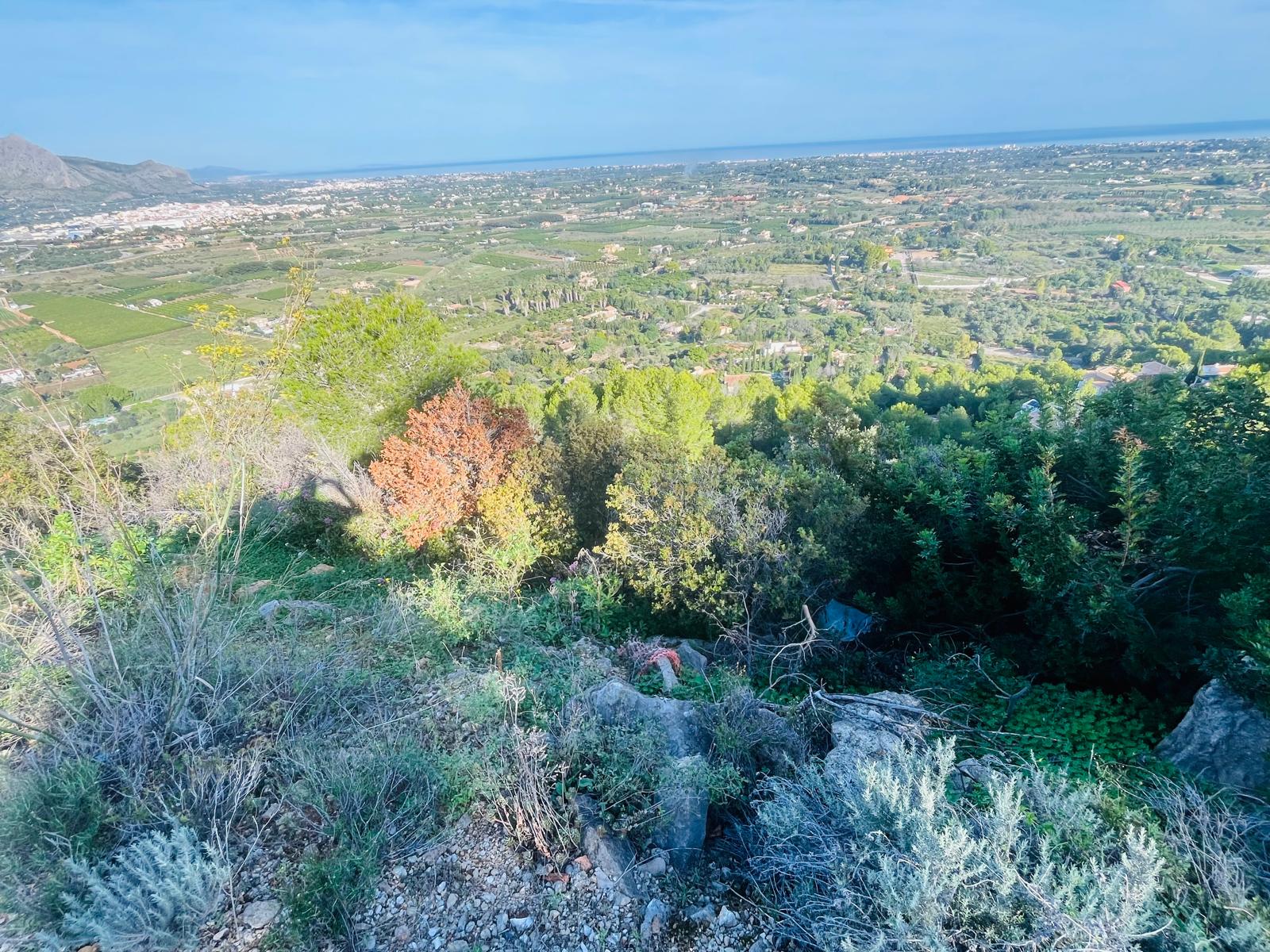 Plot / Land, Pedreguer