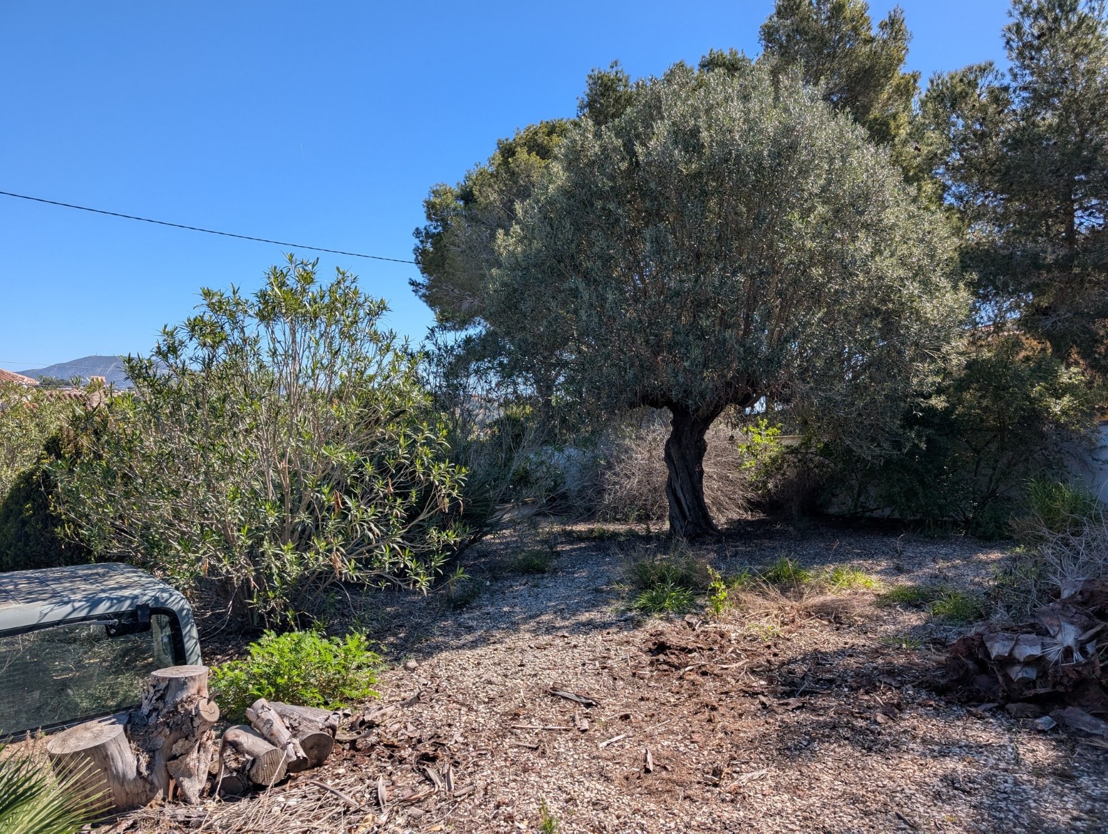 Plot / Land, Buenavista