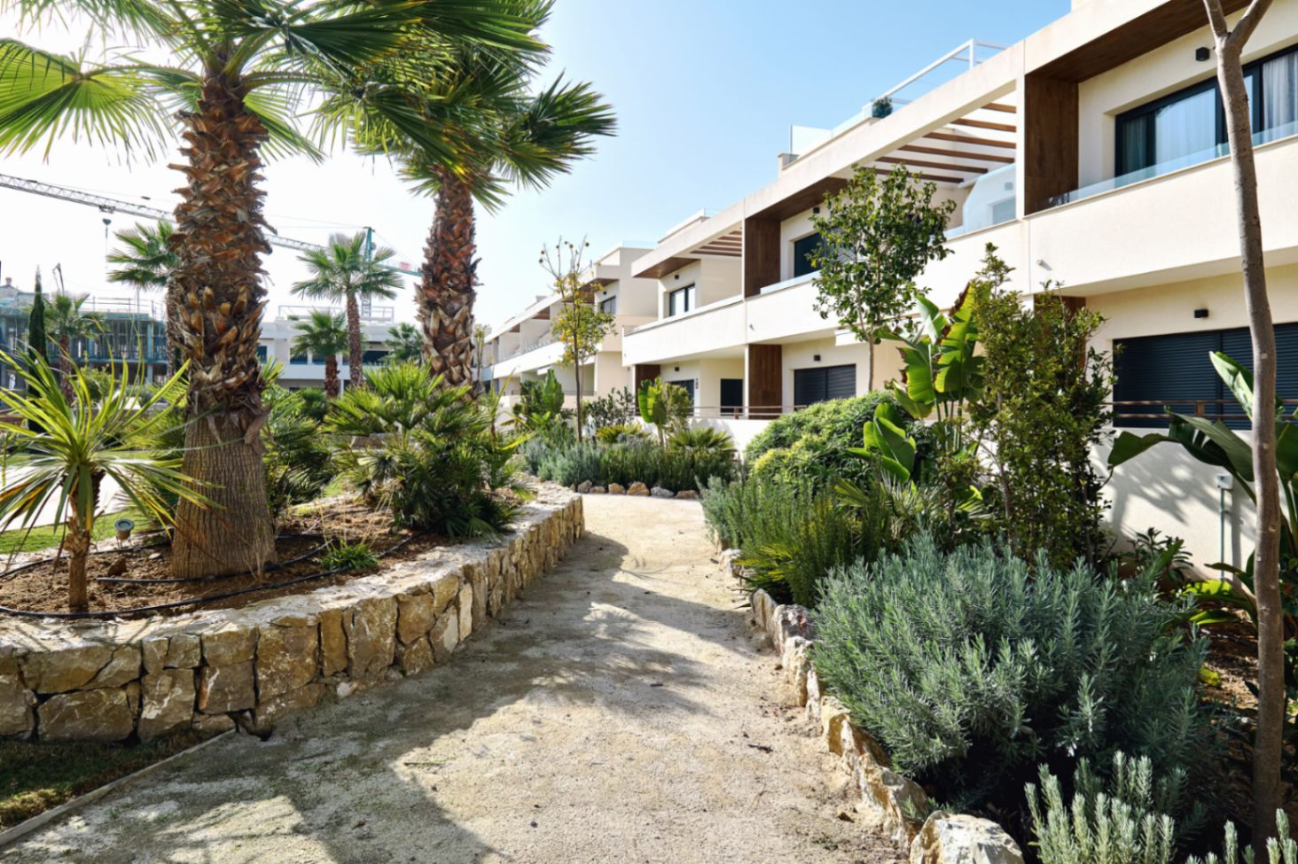 Other, Torrevieja