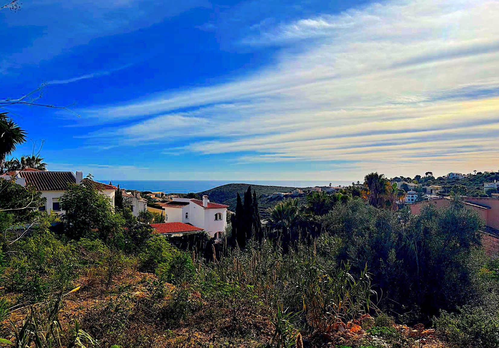 Plot / Land, Girasoles