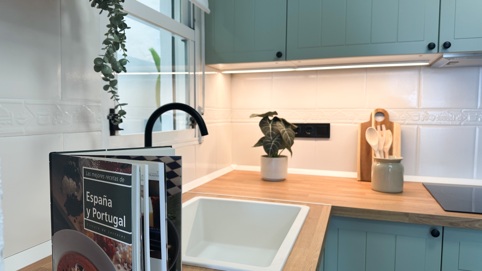 Apartment, Playa Flamenca