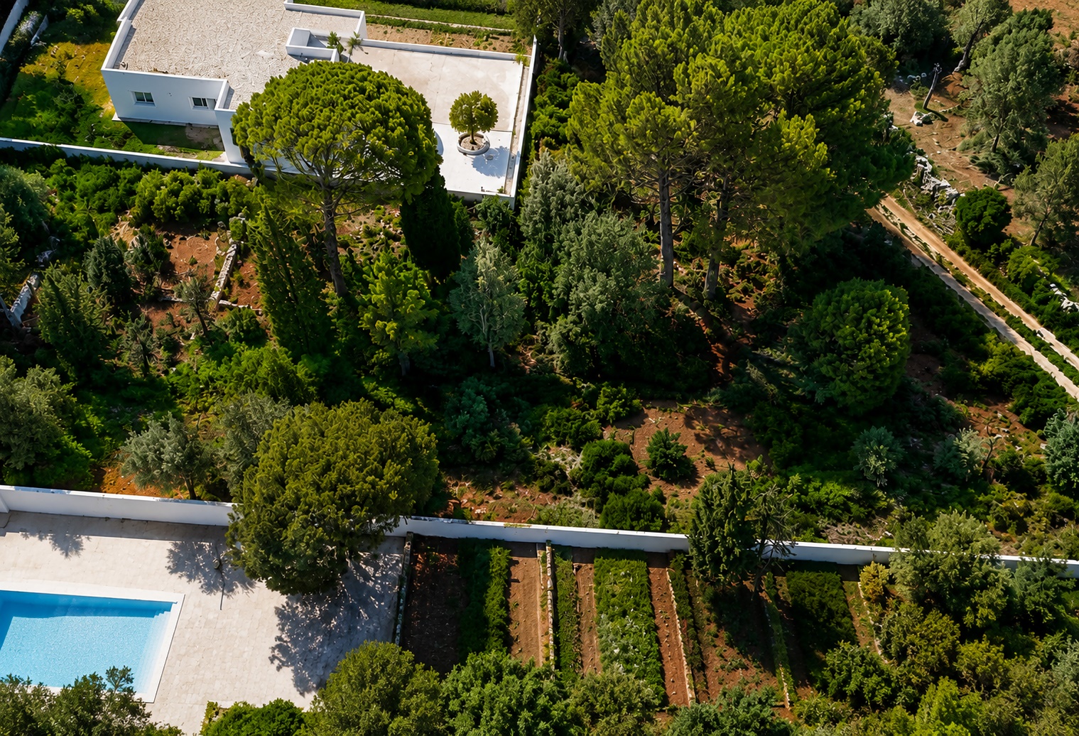 Plot / Land, La Granadella  - Costa Nova