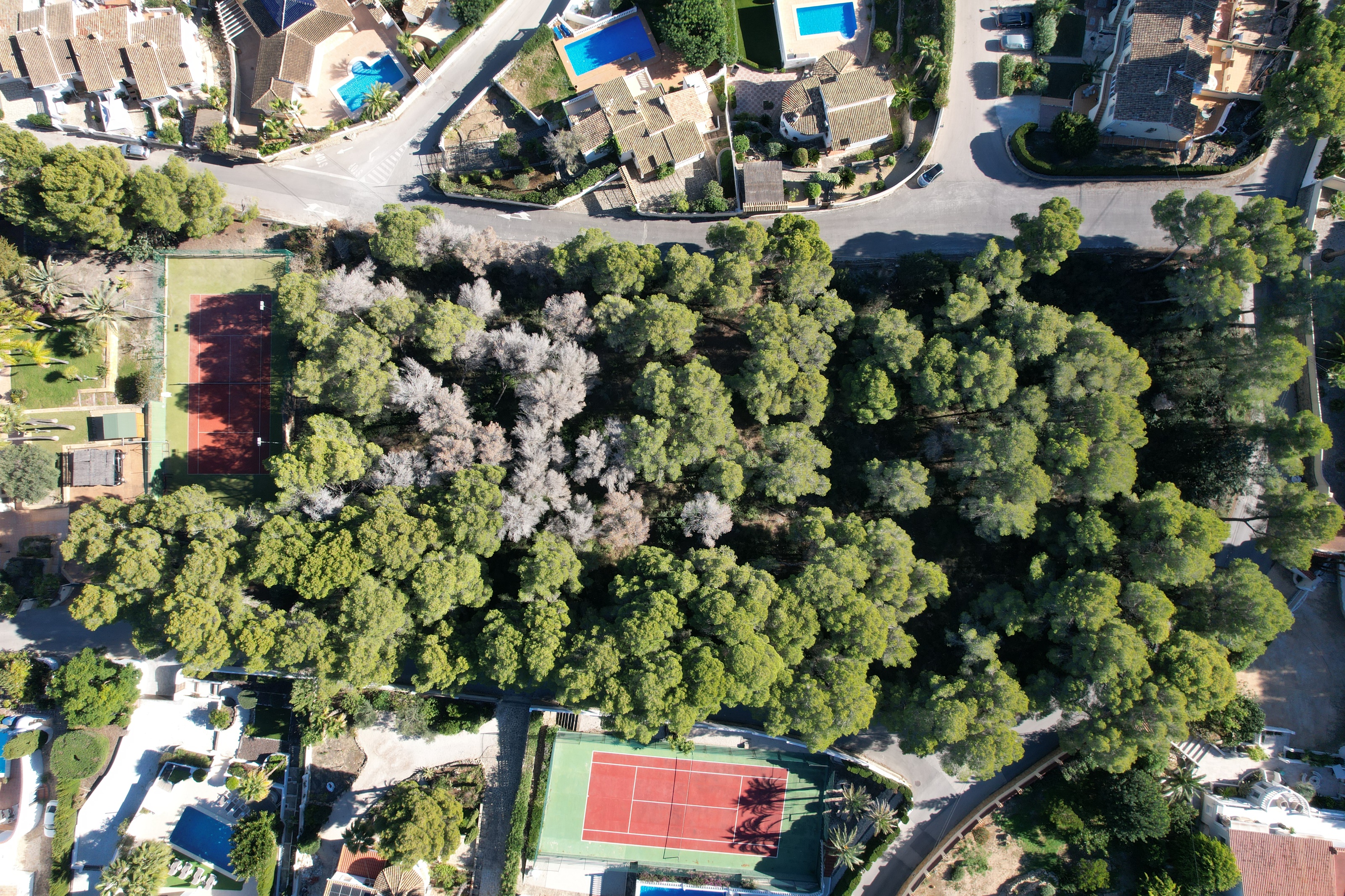 Plot / Land, Pinar del Advocat - Cometa