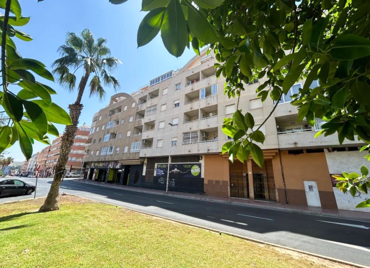 Apartment, Centro