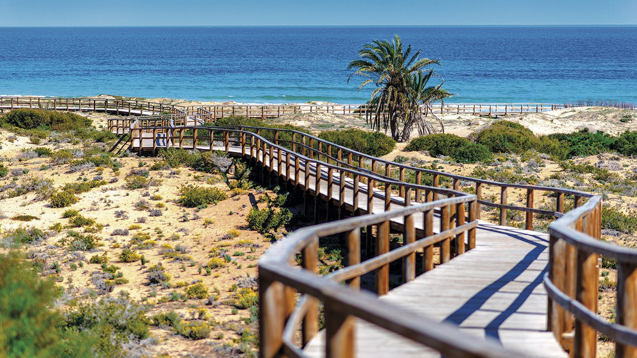 Apartment, Alenda Golf
