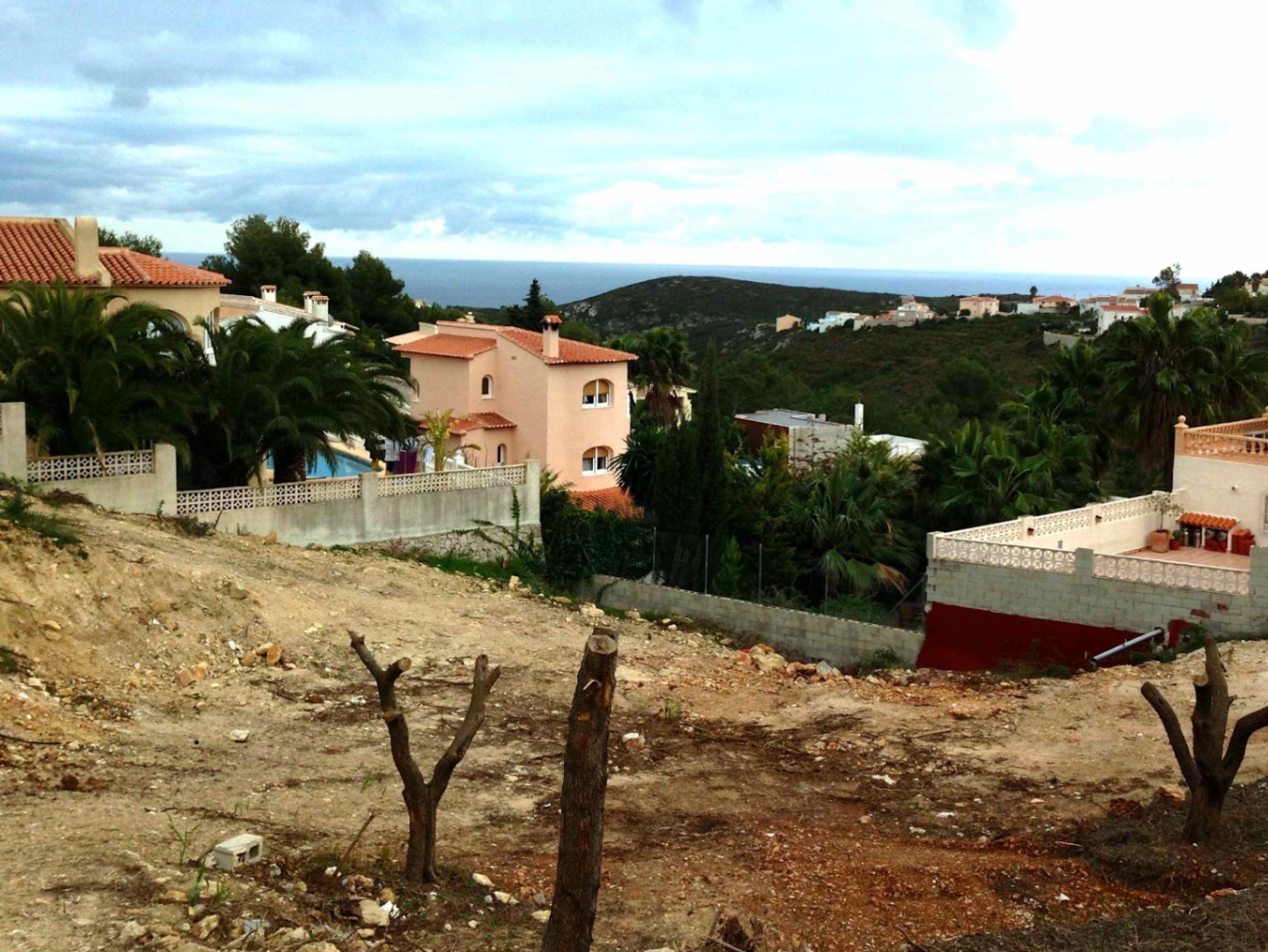 Plot / Land, Girasoles