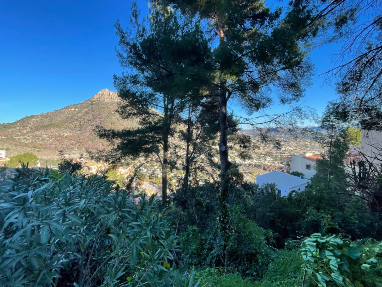 Plot / Land, Maryvilla