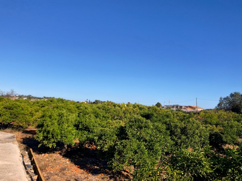 Plot / Land, La Xara - La Sella