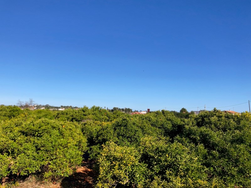 Plot / Land, La Xara - La Sella