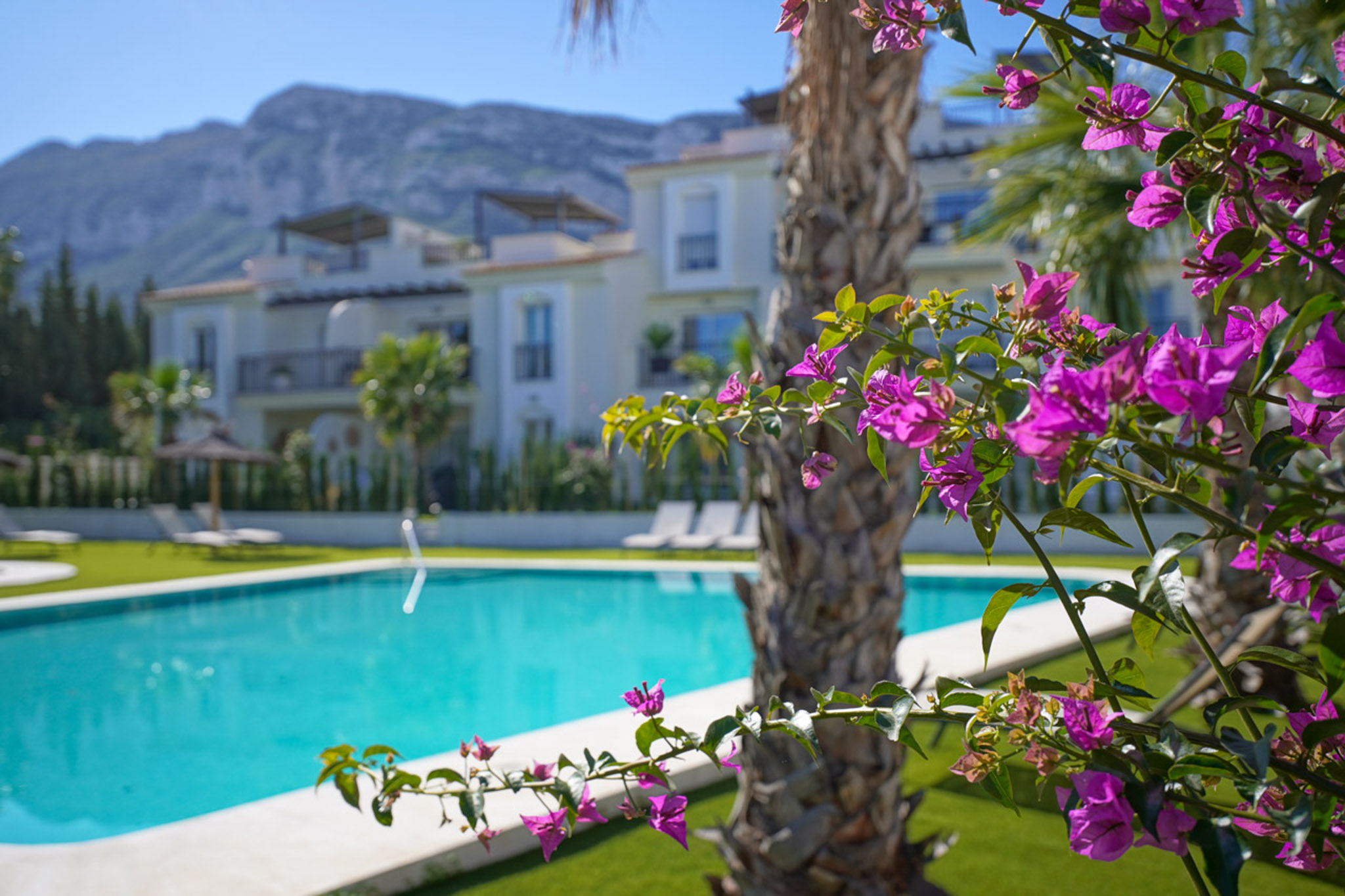 Apartment, Denia