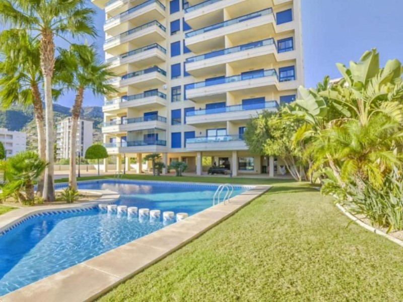 Penthouse, Canuta