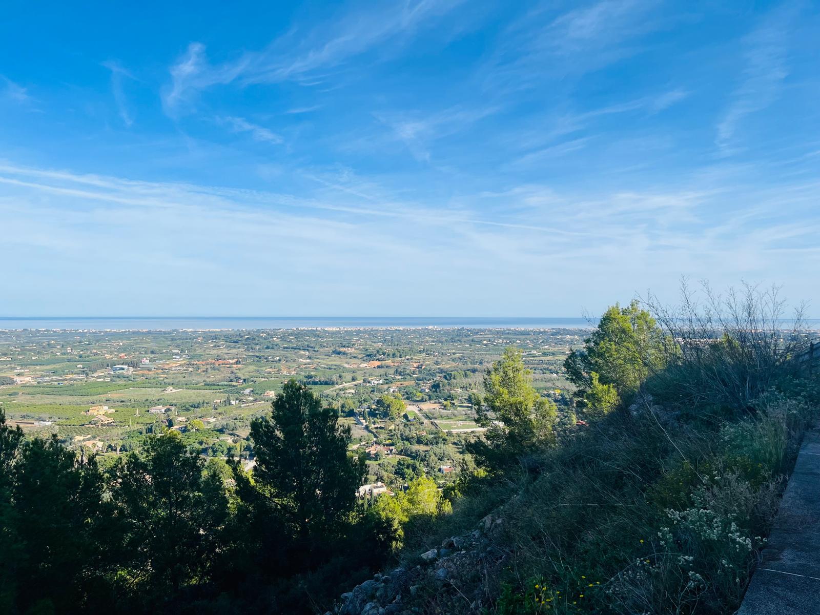 Plot / Land, Pedreguer
